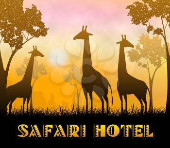 Safari Hotel Giraffes Showing Wildlife Reserve 3d Illustration