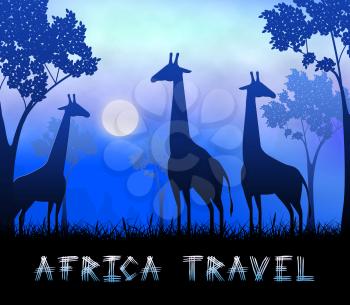 Africa Travel Giraffes Showing Wildlife Reserve 3d Illustration