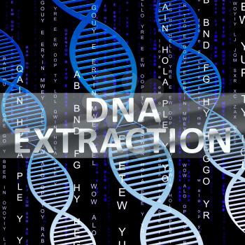 Dna Extraction Helix Shows Genetic Isolation 3d Illustration