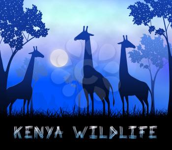 Kenya Wildlife Giraffes Showing Nature Reserve 3d Illustration