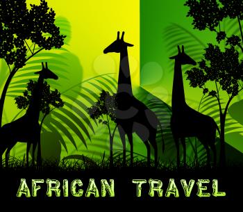 African Travel Giraffes Showing Wildlife Reserve 3d Illustration