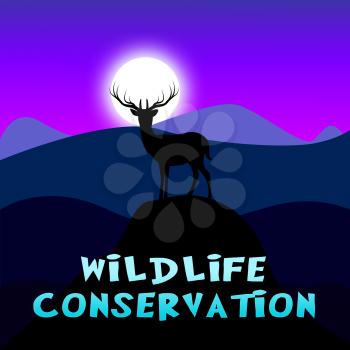 Wildlife Conservation Mountain Scene Showing Animal Preservation 3d Illustration