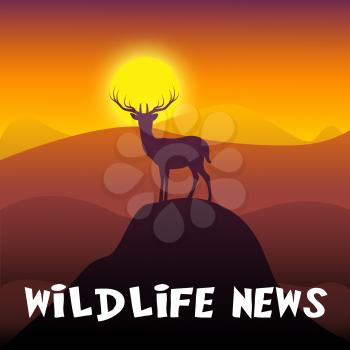 Wildlife News Mountain Scene Shows Outdoors Media 3d Illustration