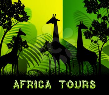 Africa Tours Giraffes Means Wildlife Reserve 3d Illustration