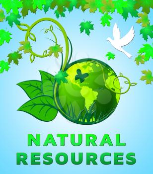 Natural Resources Design Showing Nature Assets 3d Illustration