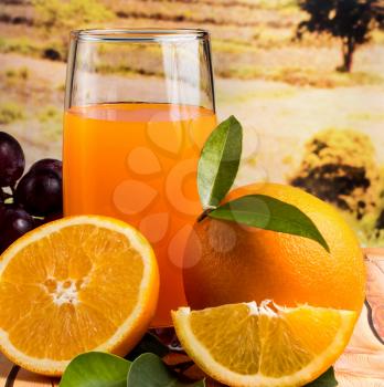 Healthy Orange Drink Representing Tropical Fruit And Liquid