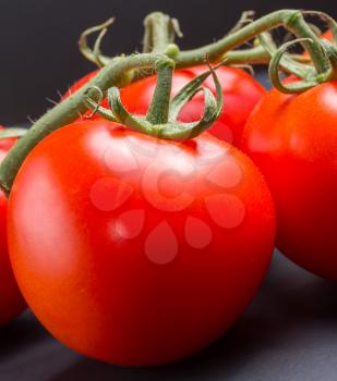 Closeup of juicy red vine tomatoes with water drops