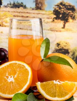 Fresh Orange Juice Meaning Tropical Fruit And Ripe