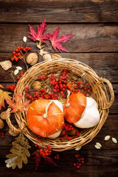 autumn background with leaves and pumpkins, thanksgiving and halloween card