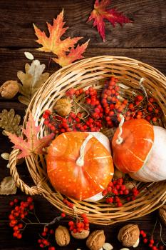 autumn background with leaves and pumpkins, thanksgiving and halloween card
