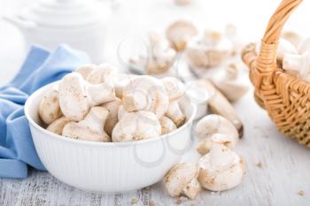 Fresh champimgon mushrooms, raw fungi