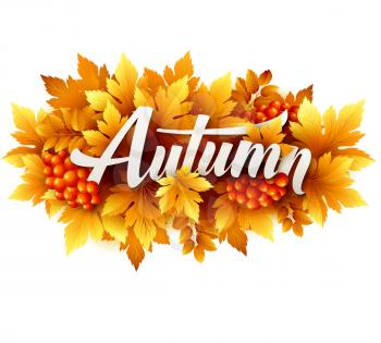 Autumn typographic. Fall leaf. Vector illustration EPS 10