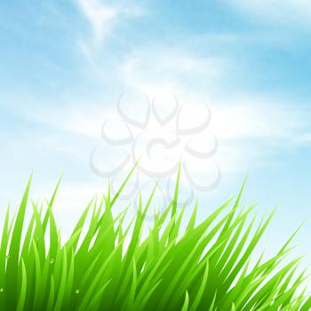 Clean spring amazing scenery. Vector nature landscape.