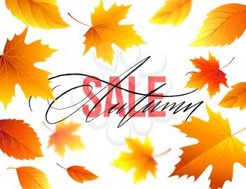 Autumn Sale banner background with fall leaves. Vector illustration EPS10