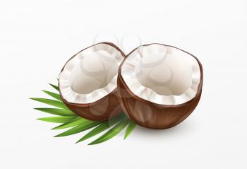 Sliced Coconut Isolated on White Background. Realistic vector illustration EPS10