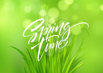 Spring time handwritten calligraphy lettering with grass background. Vector illustration EPS10