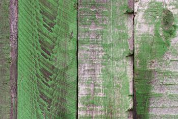 Old wooden green background. Vertical fence