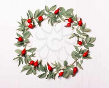 Frame round leaves and red berries, pattern of leaves on a white background