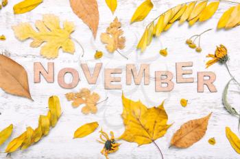 The word november with yellow leaves on a white wooden background. Autumn composition
