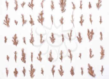 Golden tree branches in a row, christmas festive composition pattern on a white background