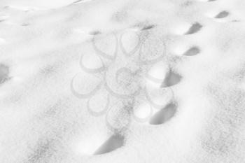 footprints on white snow. passed man