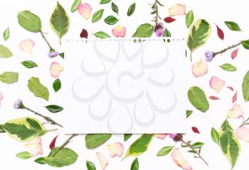 a sheet of paper for text in a frame of flowers, petals and green leaves on a white background.Inspirational image.Type flat, top view