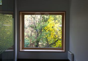 A large window on the whole wall. View of the yellow green trees