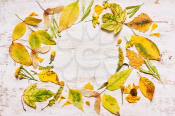 Frame of yellow leaves on a wooden background. View from above, flat. Concept of Autumn