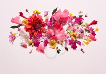 Coral pink yellow flowers. Pastel floral background. Top view, flat