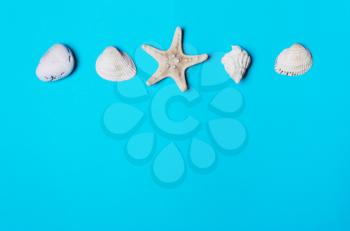 Shell, pebble, starfish on a blue background. The concept of rest, summer
