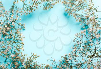 Wedding, summer pastel background. Composition of white flowers on a blue background. flat lay.Copy space