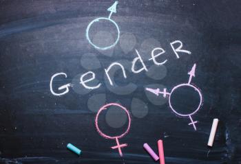 The word gender and symbols of man, woman, transgender drawn in chalk on a blackboard