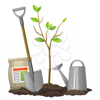 Seedling fruit tree with shovel, fertilizers and watering can. Illustration for agricultural booklets, flyers garden.