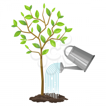 Illustration of watering tree from can. Image for agricultural booklets, flyers garden.