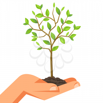 Illustration of human hand holding green small tree. Image for booklets, banners, flayers, article and social media.