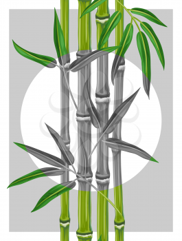 Poster with bamboo plants and leaves. Image for holiday invitations, greeting cards, posters, advertising booklets, banners, flayers.