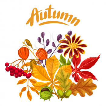 Card with autumn leaves and plants. Design for advertising booklets, banners, flayers, cards.