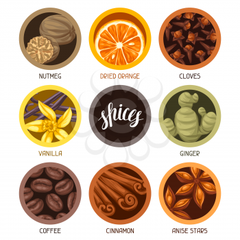 Various stylized spices set. Illustration of anise cloves vanilla ginger and cinnamon.