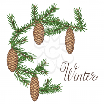 Wreath with fir branches and cones. Detailed vintage illustration.