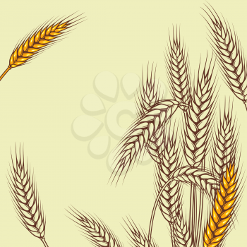 Background with ripe yellow wheat ears vector illustration.