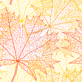 Autumn macro leaf of maple. Vector background