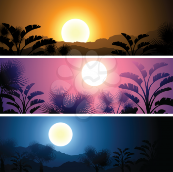 Tropical banners set landscape, sun, moon and palm trees.