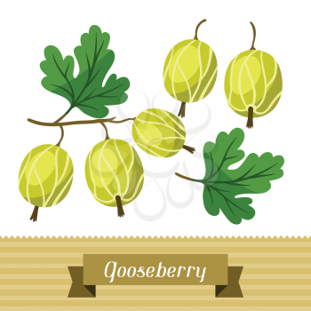 Set of various stylized ripe fresh gooseberries.