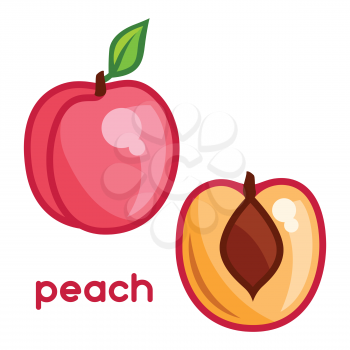 Stylized illustration of fresh peach on white background.