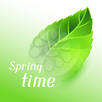 Spring time illustration with green clear leaf. Card template or ecology concept of floral design for packaging, greeting cards and advertising. 