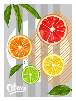 Poster with citrus fruits slices. Mix of lemon lime grapefruit and orange.