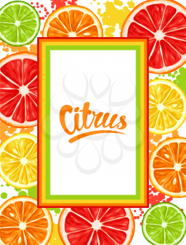 Frame with citrus fruits slices. Mix of lemon lime grapefruit and orange.