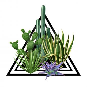 Print with cactuses and succulents set. Plants of desert.