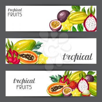 Banners with exotic tropical fruits. Illustration of asian plants.