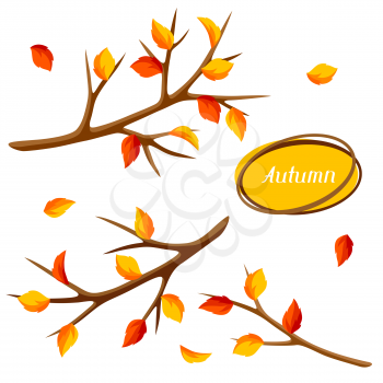 Autumn set with branches of tree and yellow leaves. Seasonal illustration.